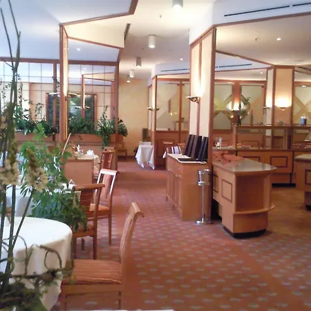 Steglitz International