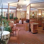 Steglitz International