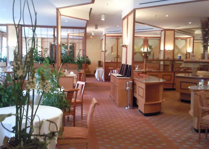 Steglitz International