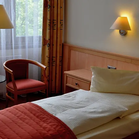 Steglitz International