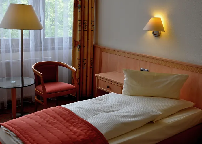 Steglitz International