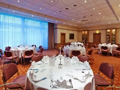 Steglitz International